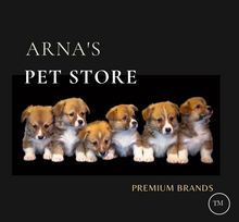 Load image into Gallery viewer, Luxury Pet Leash Engraved Name ID Tag + Collar + Bow - Free Engraving Personalise (all Sizes)
