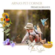 Load image into Gallery viewer, &quot;Arna Lisa&quot; Luxury Natures Finest Collection - Beautiful Birds - Parrot Sculptures
