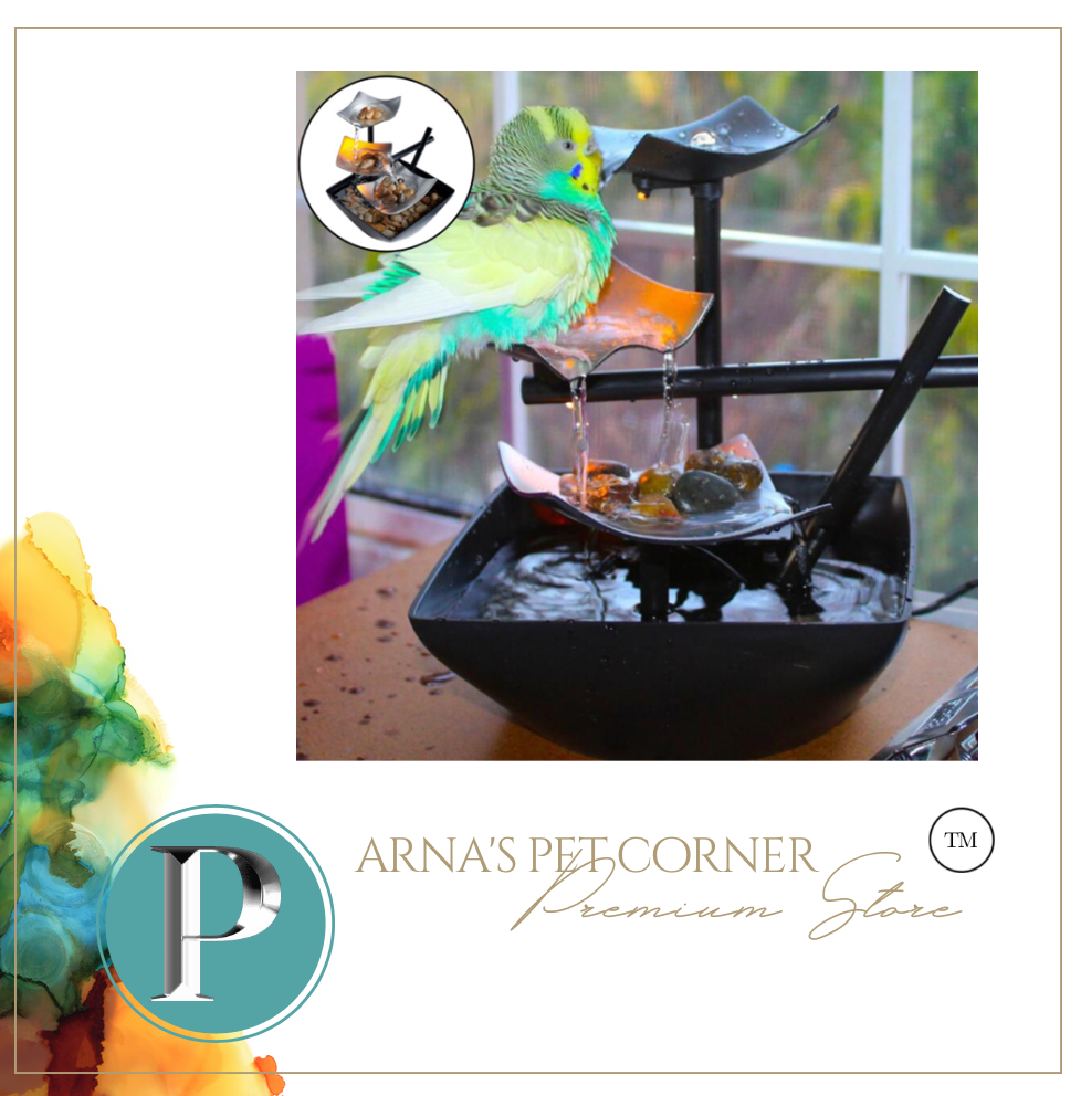 Water Fountain -  Office - Home & Living (Bird Bath)