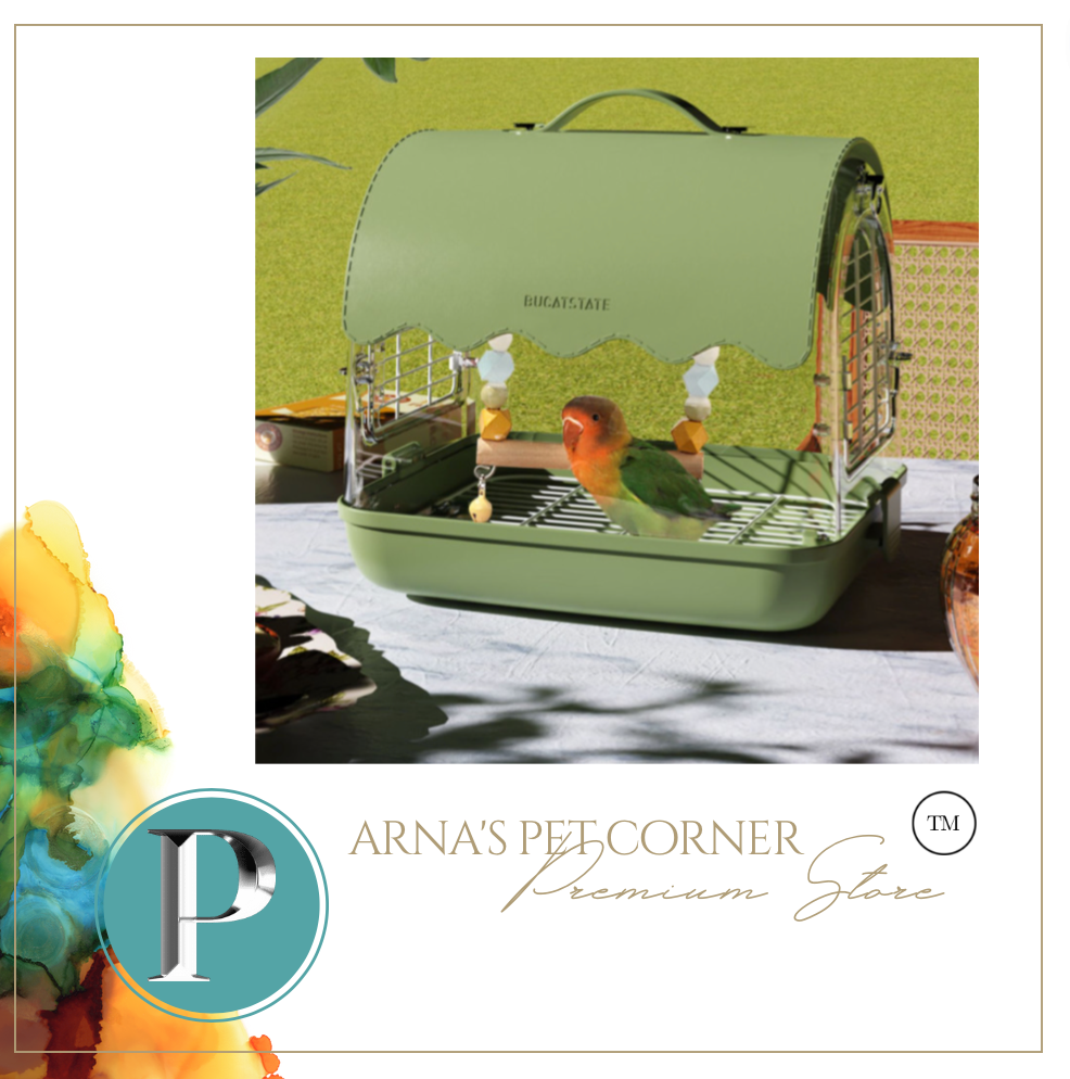 Designer Acrylic Carrier Canary, Lovebird, Budgie, Finch Carry Cage