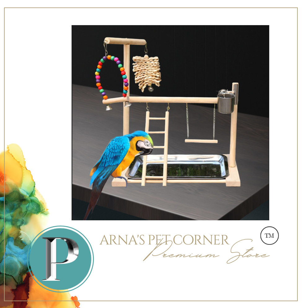 Bird Wooden Play Gym, Bath, Feeder, Perch, Ladder
