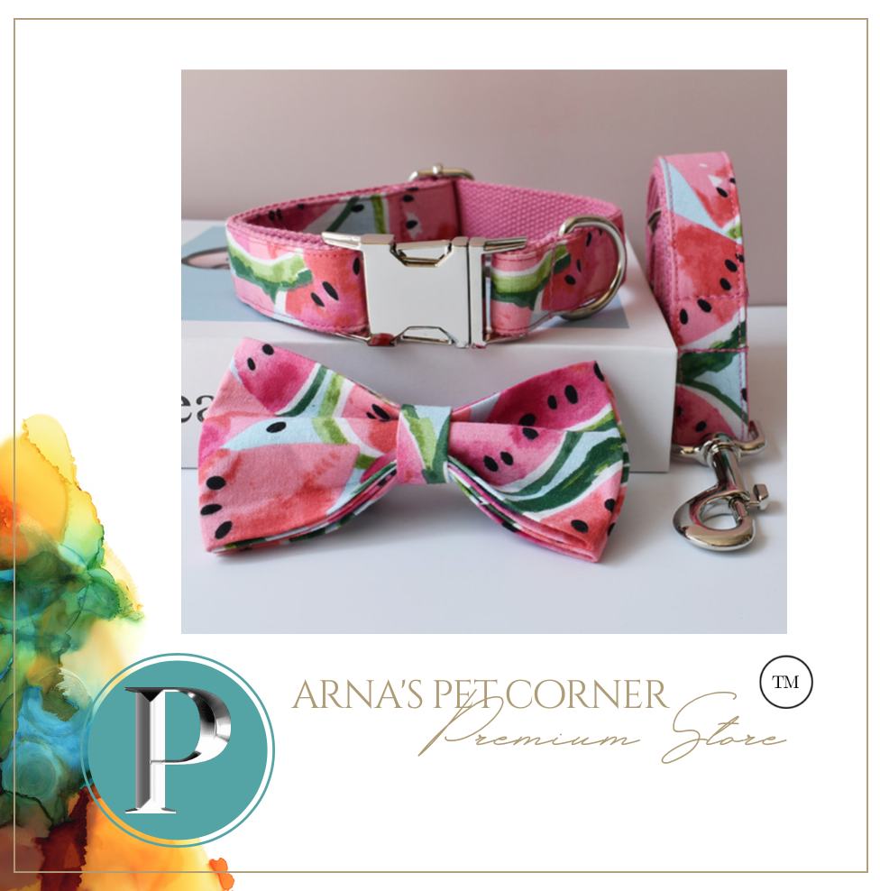 Luxury Pet Leash Engraved Name ID Tag + Collar + Bow - Free Engraving Personalise (all Sizes)