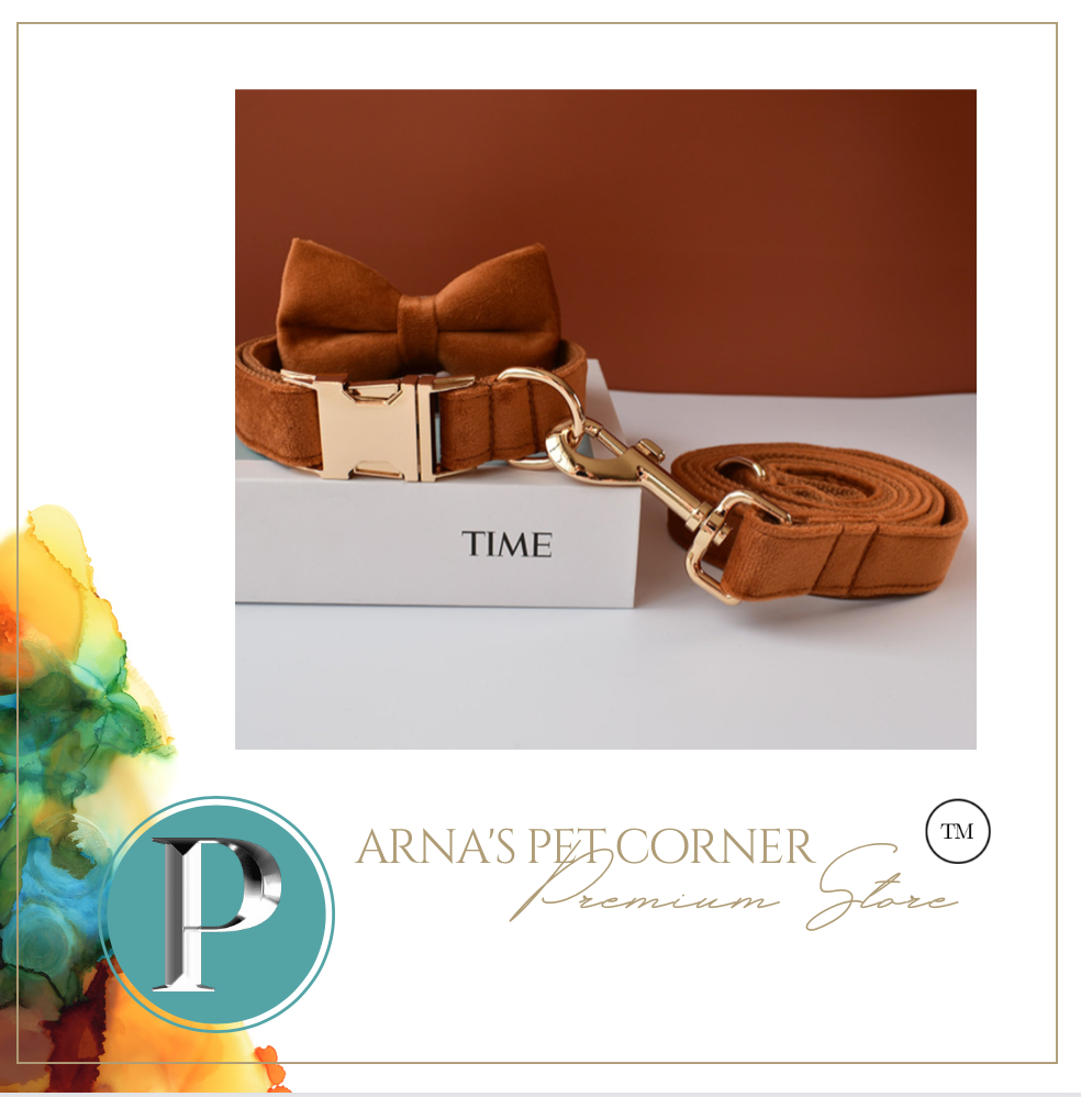 Luxury Pet Leash Engraved Name ID Tag + Collar + Bow - Free Engraving Personalise (all Sizes)