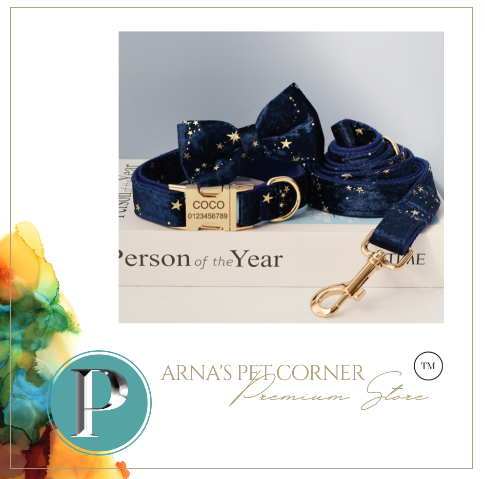 Luxury Pet Leash Engraved Name ID Tag + Collar + Bow - Free Engraving Personalise (all Sizes)