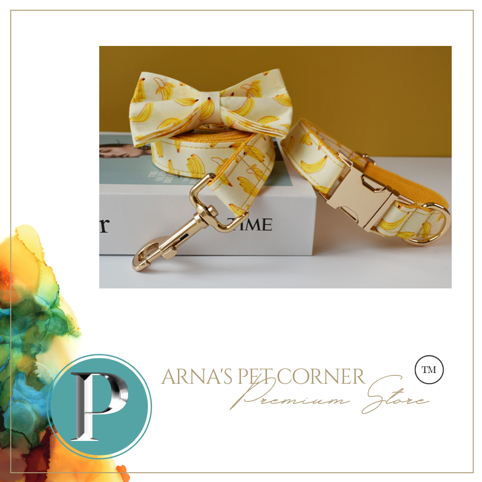 Luxury Pet Leash Engraved Name ID Tag + Collar + Bow - Free Engraving Personalise (all Sizes)