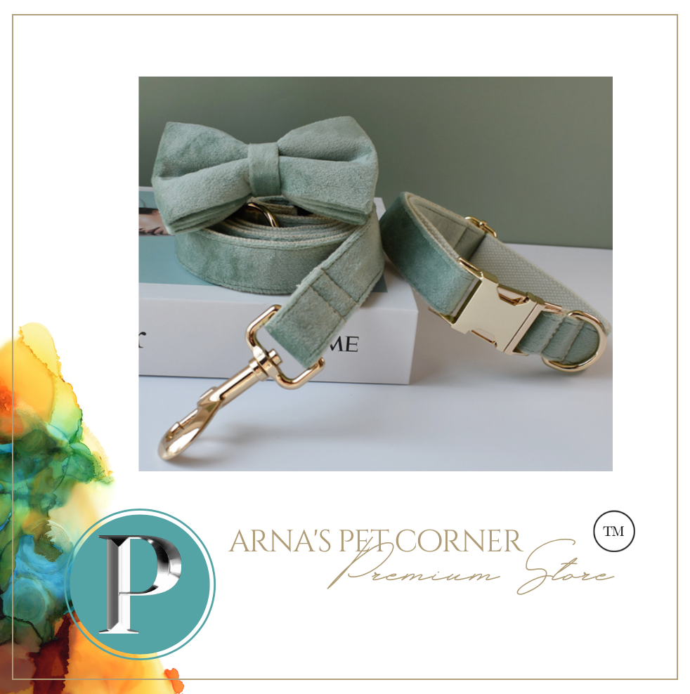 Luxury Pet Leash Engraved Name ID Tag + Collar + Bow - Free Engraving Personalise (all Sizes)