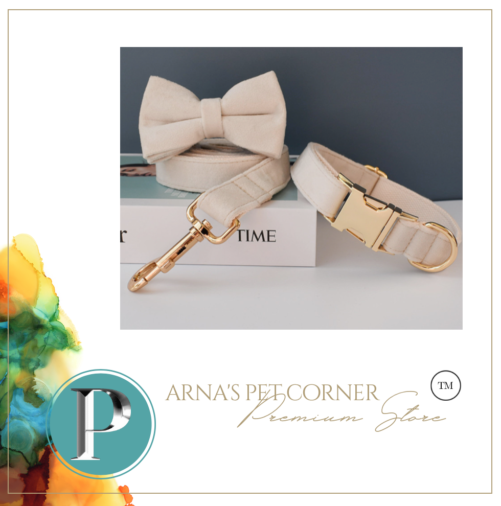 Luxury Pet Leash Engraved Name ID Tag + Collar + Bow - Free Engraving Personalise (all Sizes)