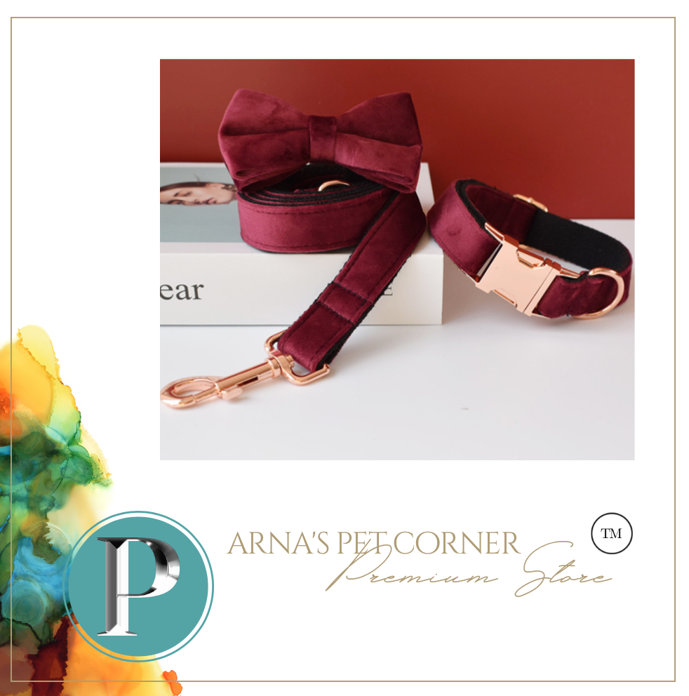 Luxury Pet Leash Engraved Name ID Tag + Collar + Bow - Free Engraving Personalise (all Sizes)