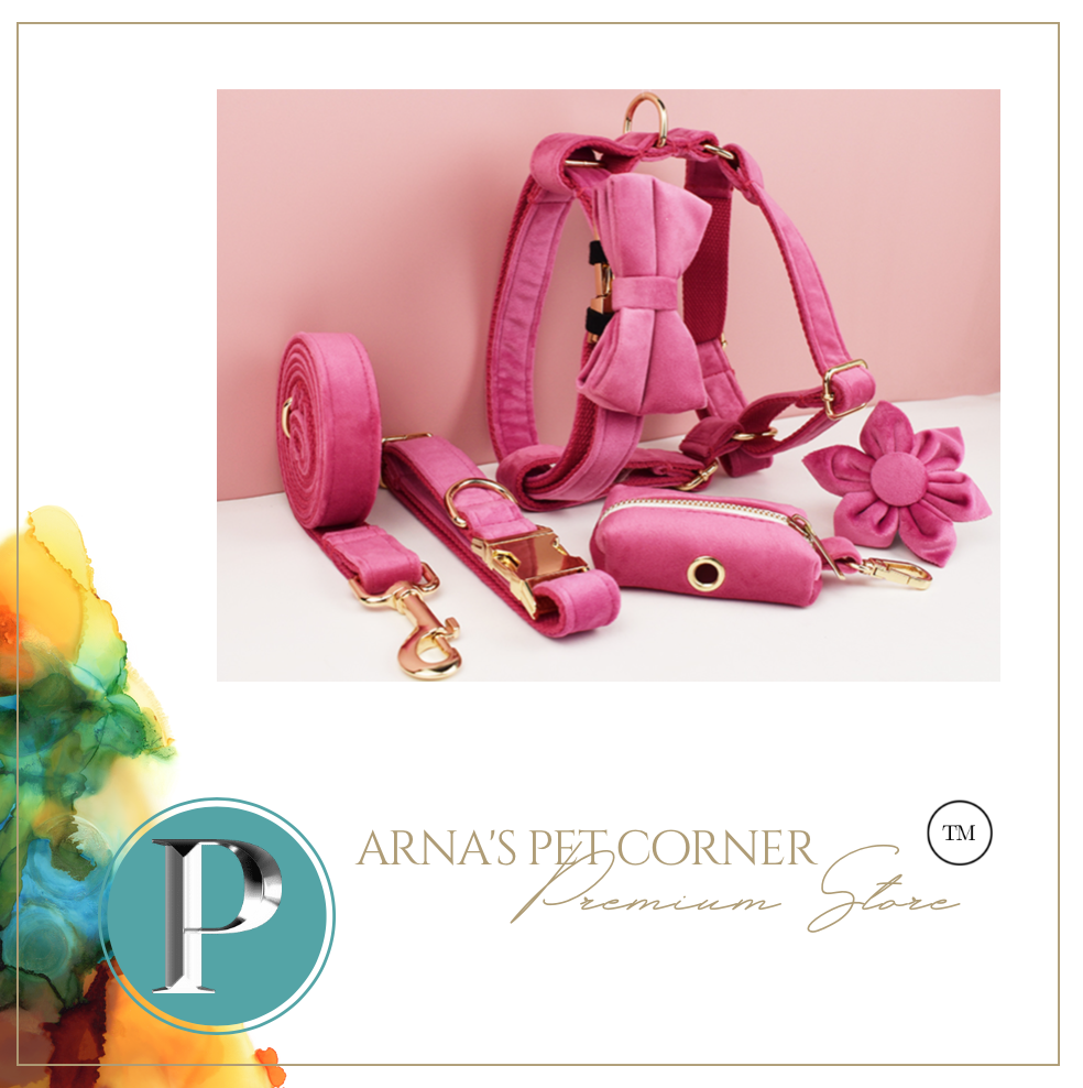 Luxury Pet Leash Engraved Name ID Tag + Collar + Bow/Flower - Free Engraving Personalise + Harness + Poop Bag (all Sizes)