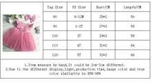 Load image into Gallery viewer, &quot;Arna&quot; Royal Gown Collection - Little Girl Flower Party Lace Tutu Dress Baby Kids Sleevess Dresses Clothes Summer Children Wedding Birthday
