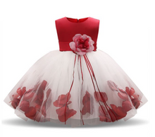 Load image into Gallery viewer, &quot;Arna&quot; Royal Gown Collection - Flower Tulle Toddler Kids Christening Costume Newborn Baby Girl Birthday Dress
