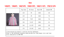 Load image into Gallery viewer, &quot;Arna&quot; Royal Gown Collection - Girls Unicorn Summer Dresses Tutu Long
