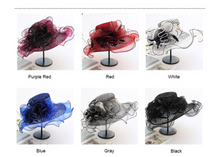 Load image into Gallery viewer, &quot;Arna Collection&quot; Luxury Hats - Sheer Elegance
