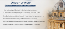 Load image into Gallery viewer, &quot;Arna&#39;s Designer School Bags&quot; New High Quality OXFORD Orthopedic School Bag
