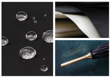 Load image into Gallery viewer, &quot;Arna Collection&quot; Designer Exquisite Umbrella - Highest Quality
