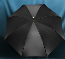 Load image into Gallery viewer, &quot;Arna Collection&quot; Designer Exquisite Umbrella - Highest Quality
