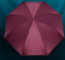 Load image into Gallery viewer, &quot;Arna Collection&quot; Designer Exquisite Umbrella - Highest Quality
