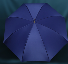 Load image into Gallery viewer, &quot;Arna Collection&quot; Designer Exquisite Umbrella - Highest Quality
