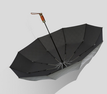 Load image into Gallery viewer, &quot;Arna Collection&quot; Designer Exquisite Business Umbrella foldable - Highest Quality
