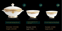 Load image into Gallery viewer, &quot;Arna Lisa&quot; Royal Collection - Luxury 60 Piece Ceramic Dinnerware
