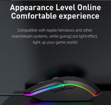 Load image into Gallery viewer, Wired Gaming Mouse 1600 DPI Optical 6 Buttons USB Mouse With RGB BackLight
